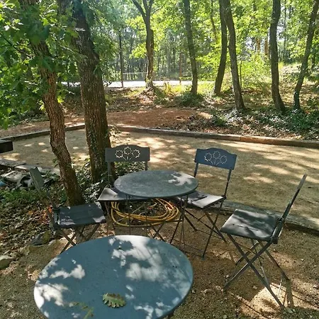 Bed & Breakfast La Dryade Tourves